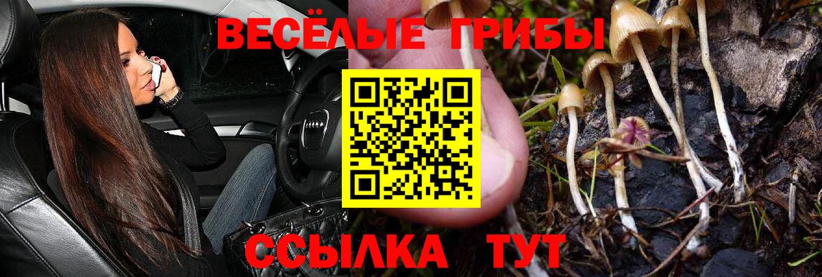 Псилоцибиновые грибы мицелий  Вход с VPN  Галлюциногенные грибы мицелий  Курчатов 