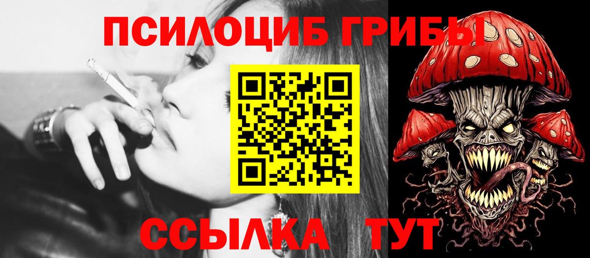 Псилоцибиновые грибы Cubensis Курчатов